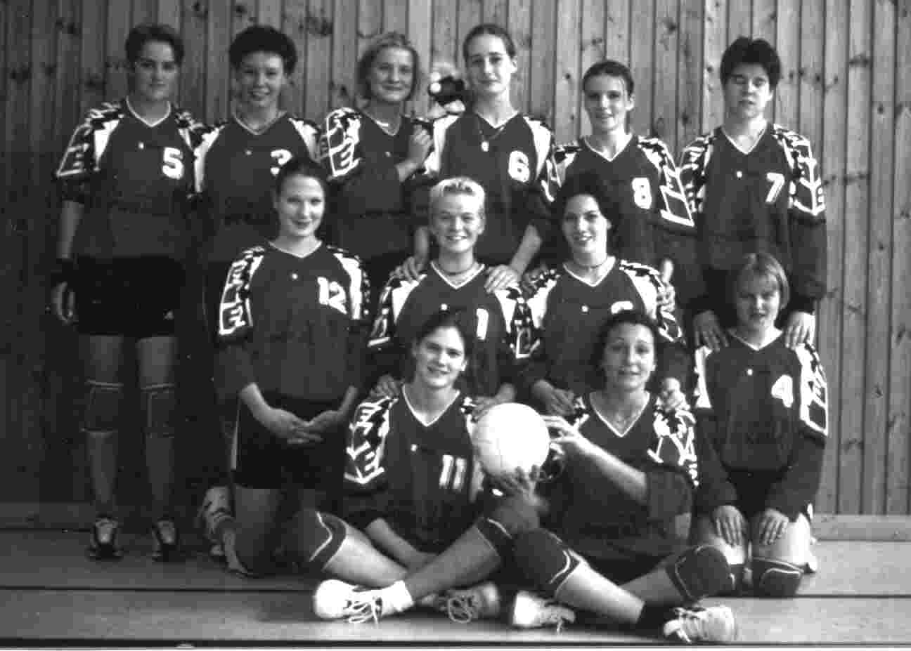 Volleyball Damen